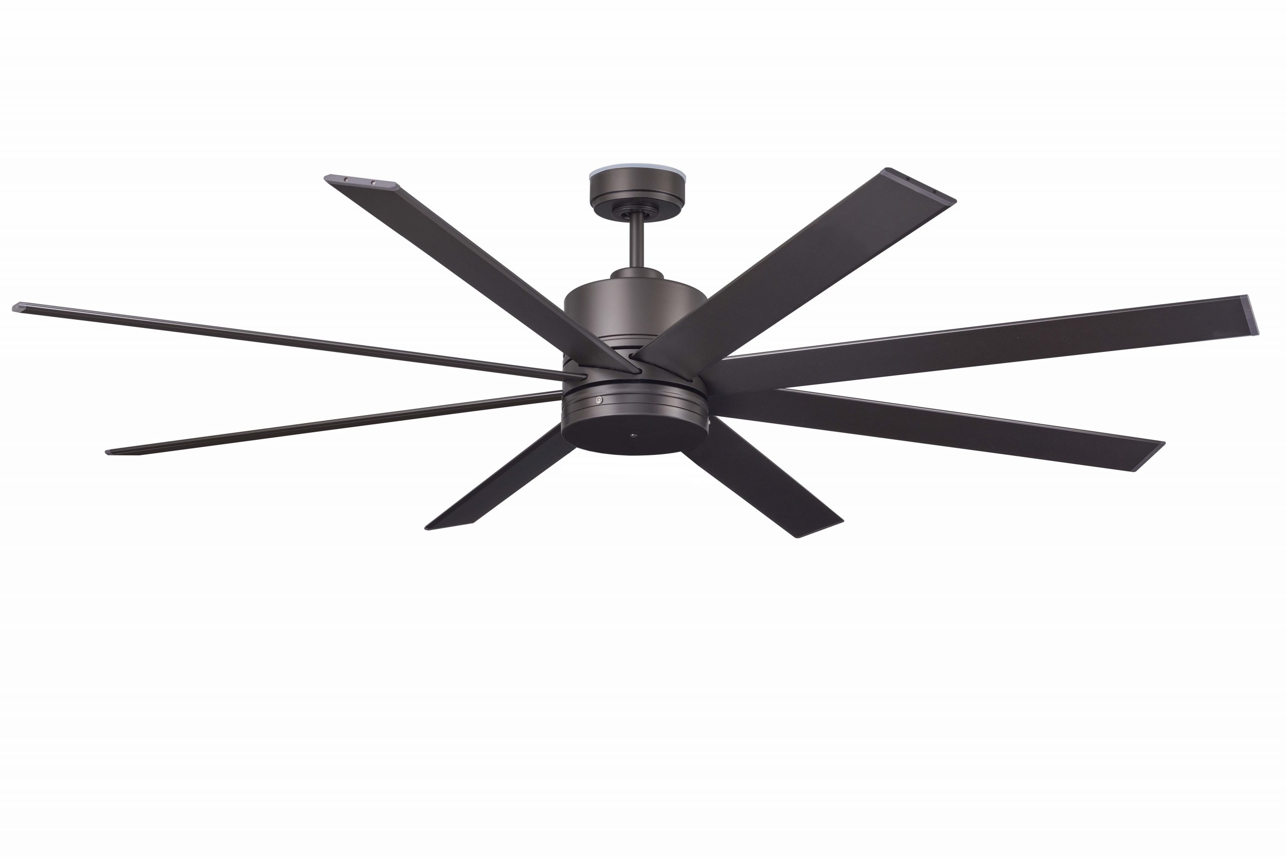 ファンボード 6.6(PU) 楽天市場】サーフボード 6.6の通販